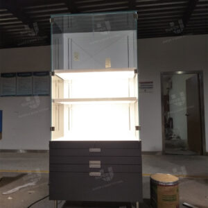 Lockable Jewelry Display Case with Shelf Light